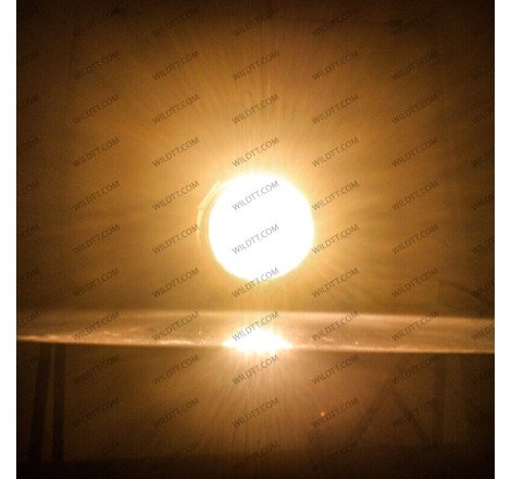 Phares Antibrouillard OEM Toyota Hilux 2009-2011 - WildTT