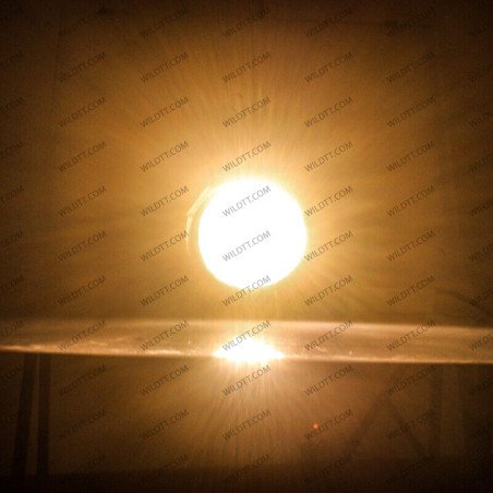 Fari Antinebbia OEM Toyota Hilux 2009-2011 - WildTT