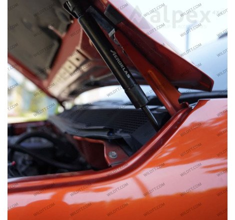 Isuzu D-Max Cabine Dupla 2020-2024 - WildTT