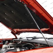 Hood Dampers Ford Ranger/Raptor 2023+ - WildTT