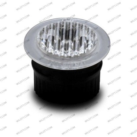 Strobe Ámbar Ant Pro - WildTT