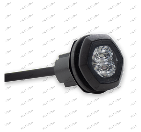 Estrobo Azul XF Flush - WildTT