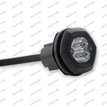 Stroboscope Bleu XF Flush - WildTT