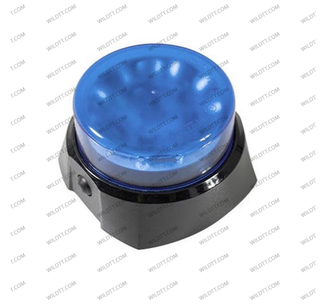 Gyrophare LED C12 Mag à Batterie Bleu - WildTT