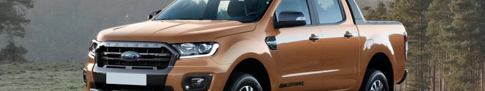 Ford Ranger Wildtrak Cabine Dupla 2019-2022